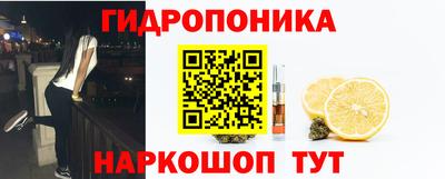 стафф Тверь