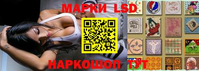 стафф Тверь